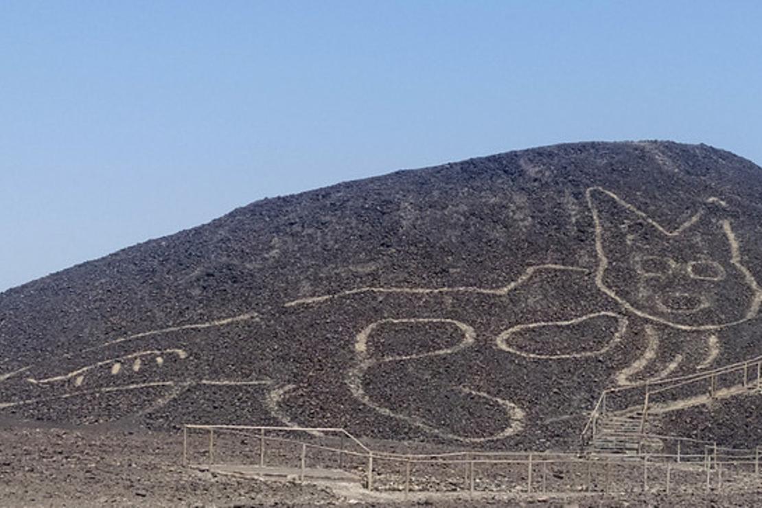 Peru'daki arkeologlar bir yamaca çizilmiş 2 bin yıllık kedi figürü keşfetti
