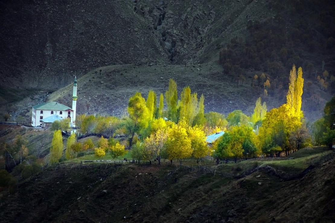 Muş'ta sonbaharın güzellikleri fotoğraf kareleriyle ölümsüzleştirildi