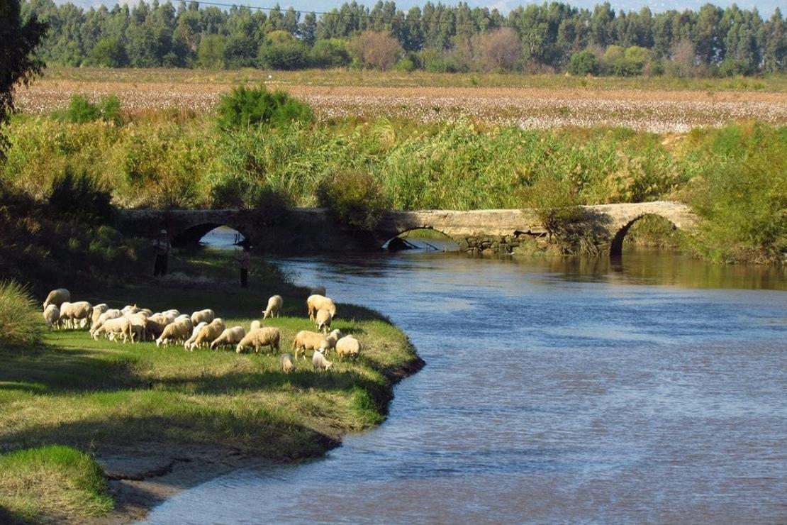 Söke Sarıkemer’deki tarihi taşköprü için doğa severler kampanya başlattı