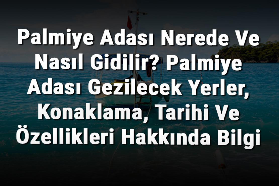 Palmiye Adası Nerede Ve Nasıl Gidilir? Palmiye Adası Gezilecek Yerler, Konaklama, Tarihi Ve Özellikleri Hakkında Bilgi