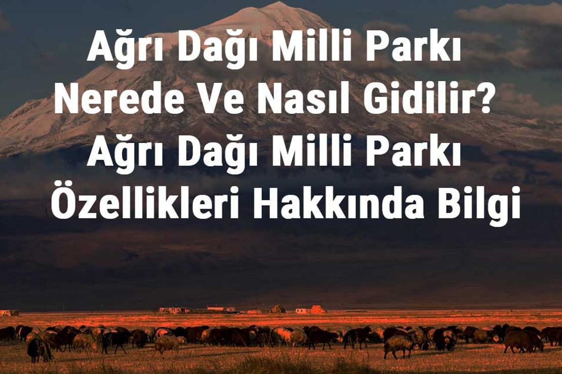 Ağrı Dağı Milli Parkı Nerede Ve Nasıl Gidilir? Ağrı Dağı Milli Parkı Konaklama, Kamp, Giriş Ücreti Ve Özellikleri Hakkında Bilgi