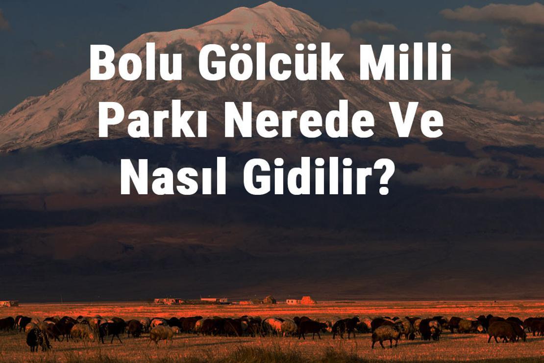 Bolu Gölcük Milli Parkı Nerede Ve Nasıl Gidilir? Bolu Gölcük Milli Parkı Konaklama, Kamp, Giriş Ücreti Ve Özellikleri Hakkında Bilgi
