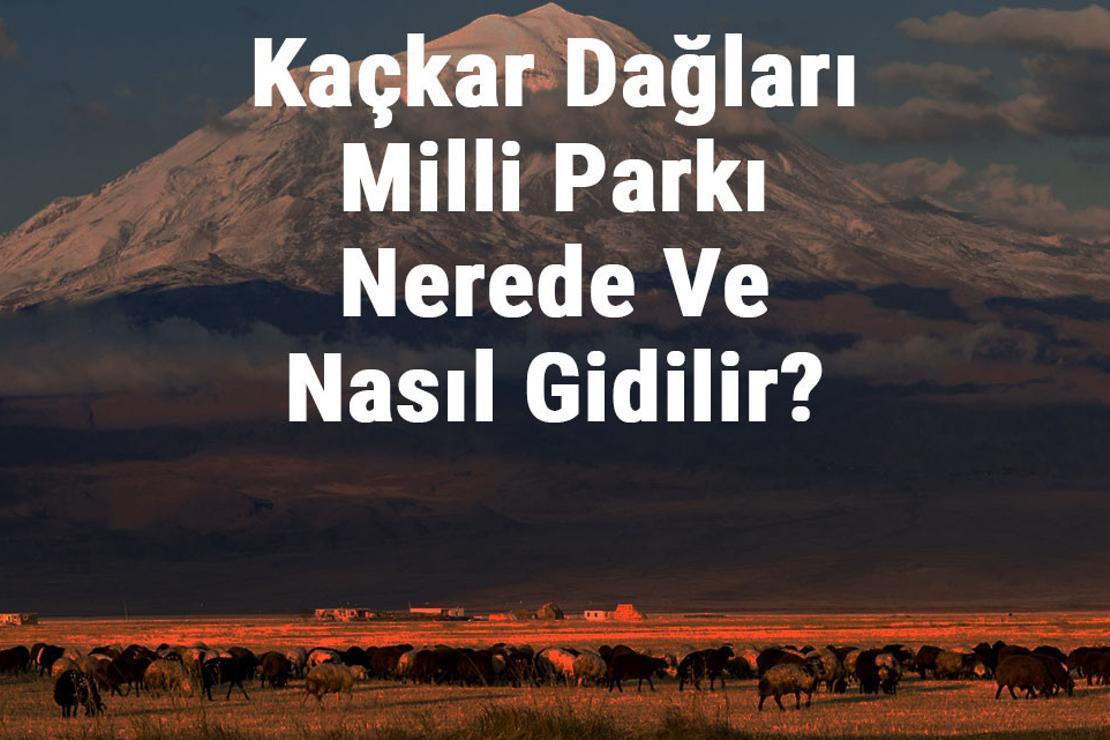 Kaçkar Dağları Milli Parkı Nerede Ve Nasıl Gidilir? Kaçkar Dağları Milli Parkı Konaklama, Kamp, Giriş Ücreti Ve Özellikleri Hakkında Bilgi