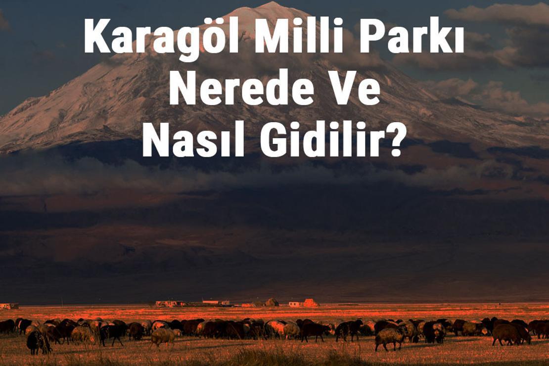 Karagöl Milli Parkı Nerede Ve Nasıl Gidilir? Karagöl Milli Parkı Konaklama, Kamp, Giriş Ücreti Ve Özellikleri Hakkında Bilgi