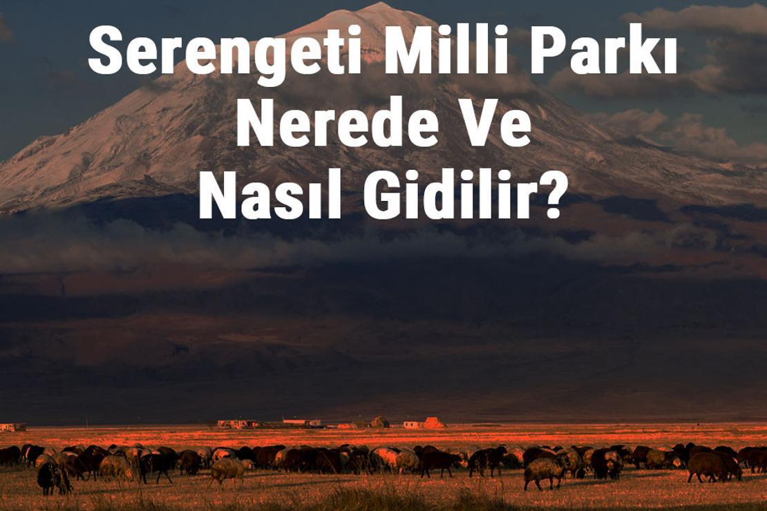 Serengeti Milli Parkı Nerede Ve Nasıl Gidilir? Serengeti Milli Parkı Konaklama, Kamp, Giriş Ücreti Ve Özellikleri Hakkında Bilgi