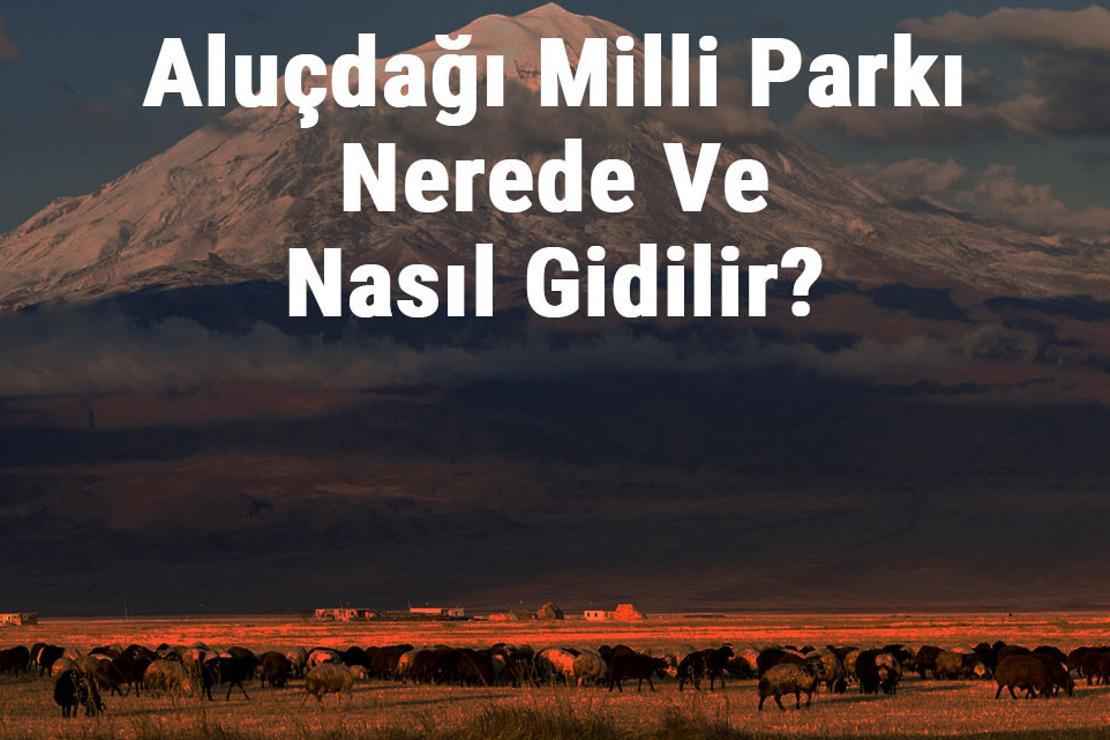 Aluçdağı Milli Parkı Nerede Ve Nasıl Gidilir? Aluçdağı Milli Parkı Konaklama, Kamp, Giriş Ücreti Ve Özellikleri Hakkında Bilgi