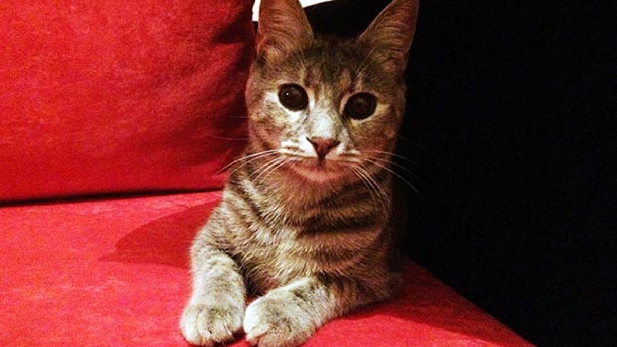 Havalimaninda Bella Krizi Son Dakika Flas Haberler