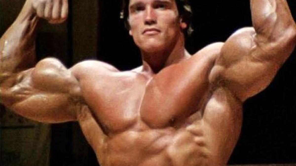 Schwarzenegger Nasil Calisiyor