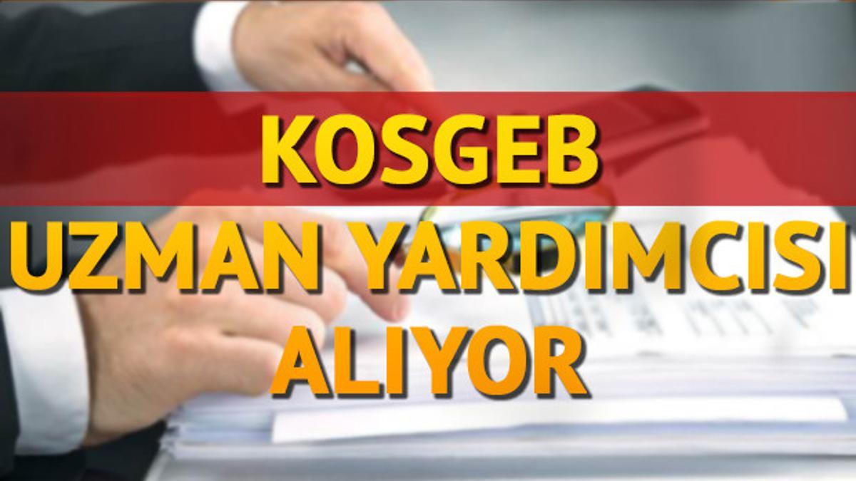 Kosgeb Personel Alimi Icin Sartlari Duyuruldu Kobi Uzman Yardimcisi Alinacak