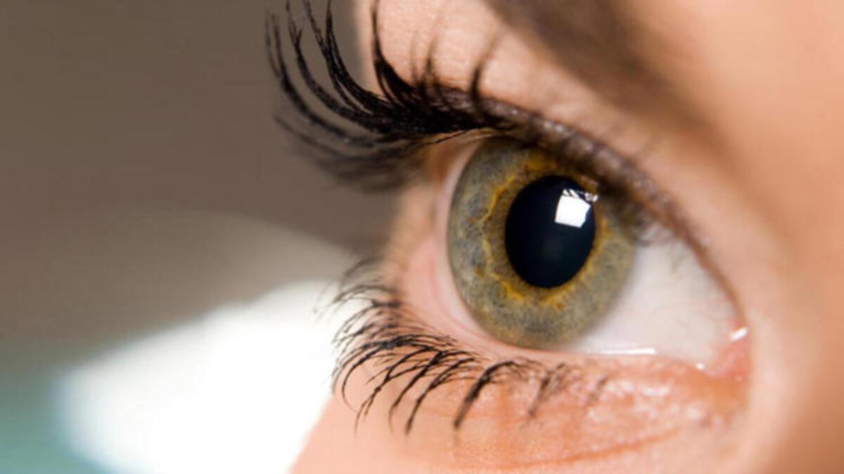 Retina Yirtiklari Neden Olur Retina Yirtiklari Tedavisi