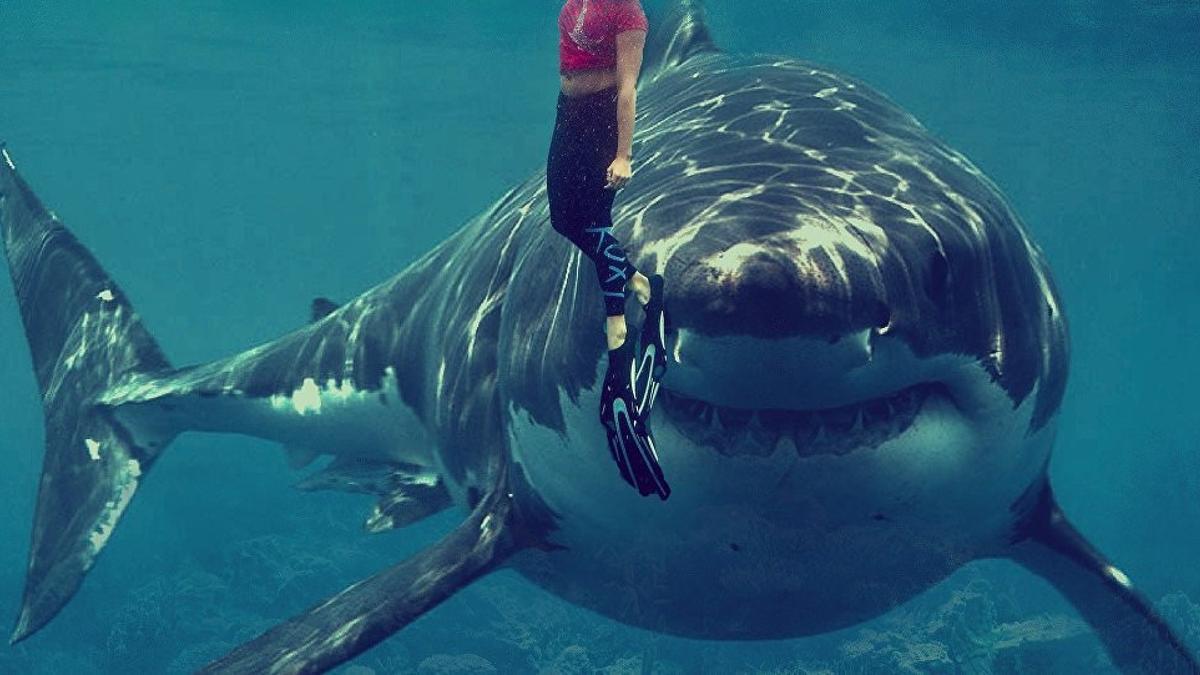 Kopek Baliklari Ve Insanlar Ayni Obezite Genine Sahip Teknoloji Haberleri