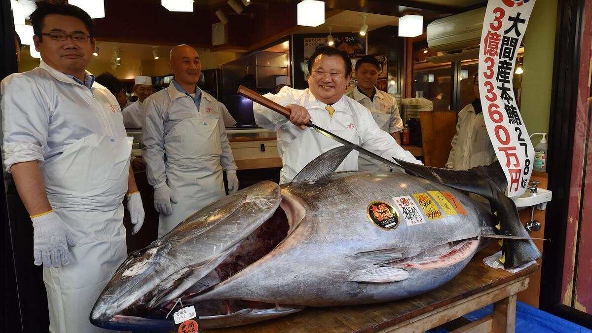 i mellemtiden Almindelig sko Japonya'da 278 kiloluk dev ton balığı 3 milyon dolara satıldı - Haberler