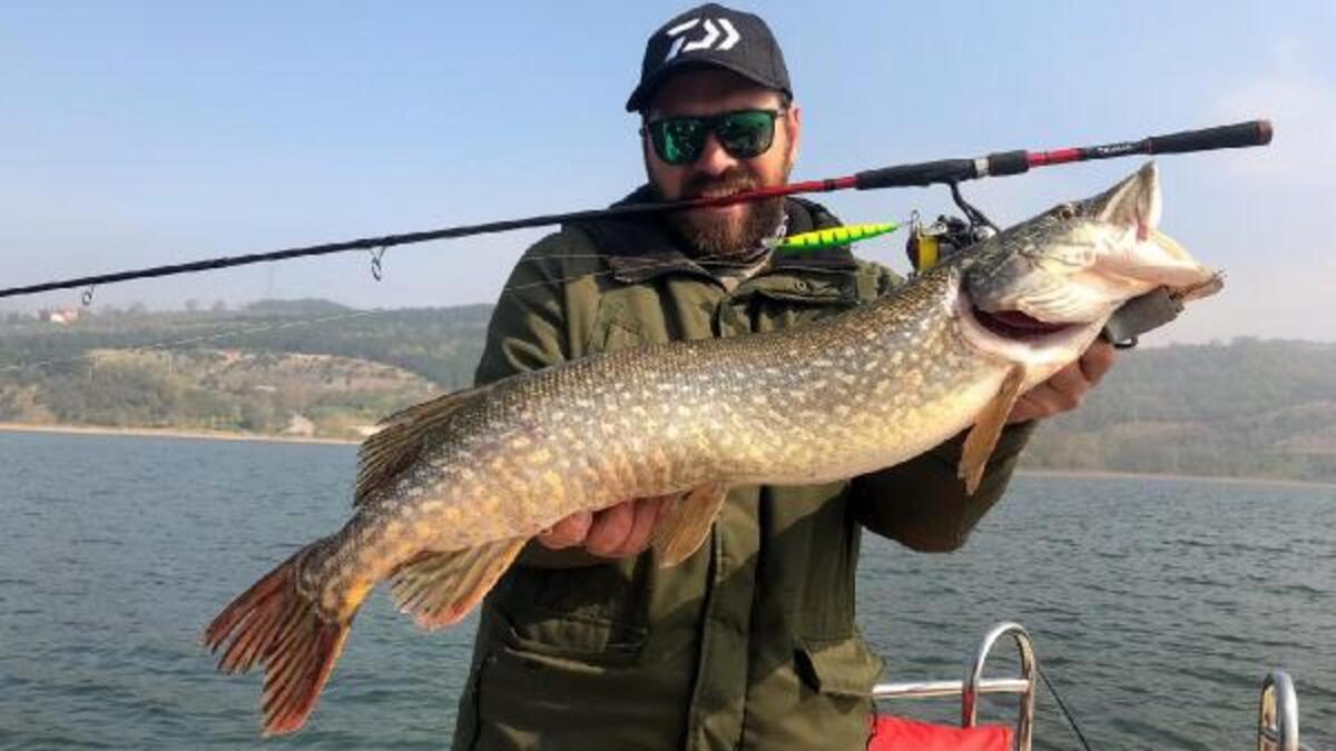 Sapanca Golu Nde 1 Metre Boyunda Turna Baligi Yakalandi Son Dakika Haber