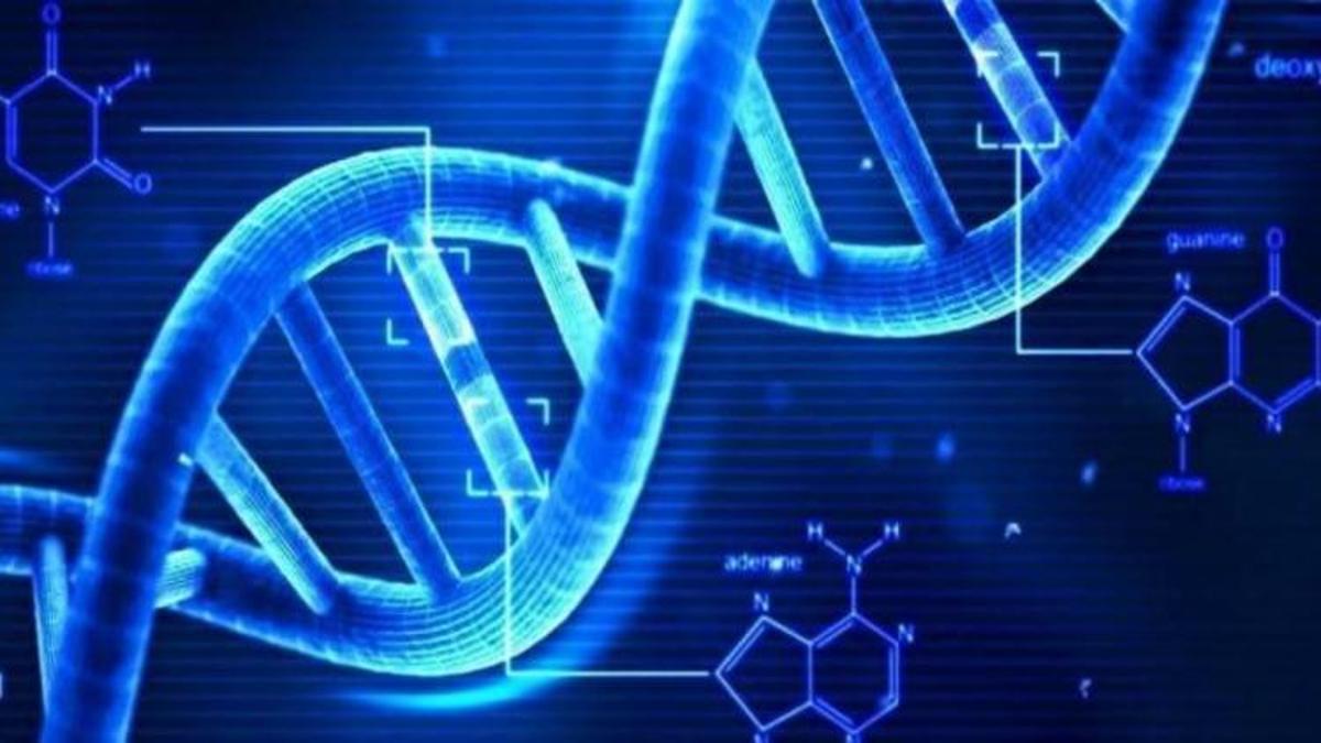 Insan Dna Sinin Muzigi Notalara Dokuldu Teknoloji Haberleri