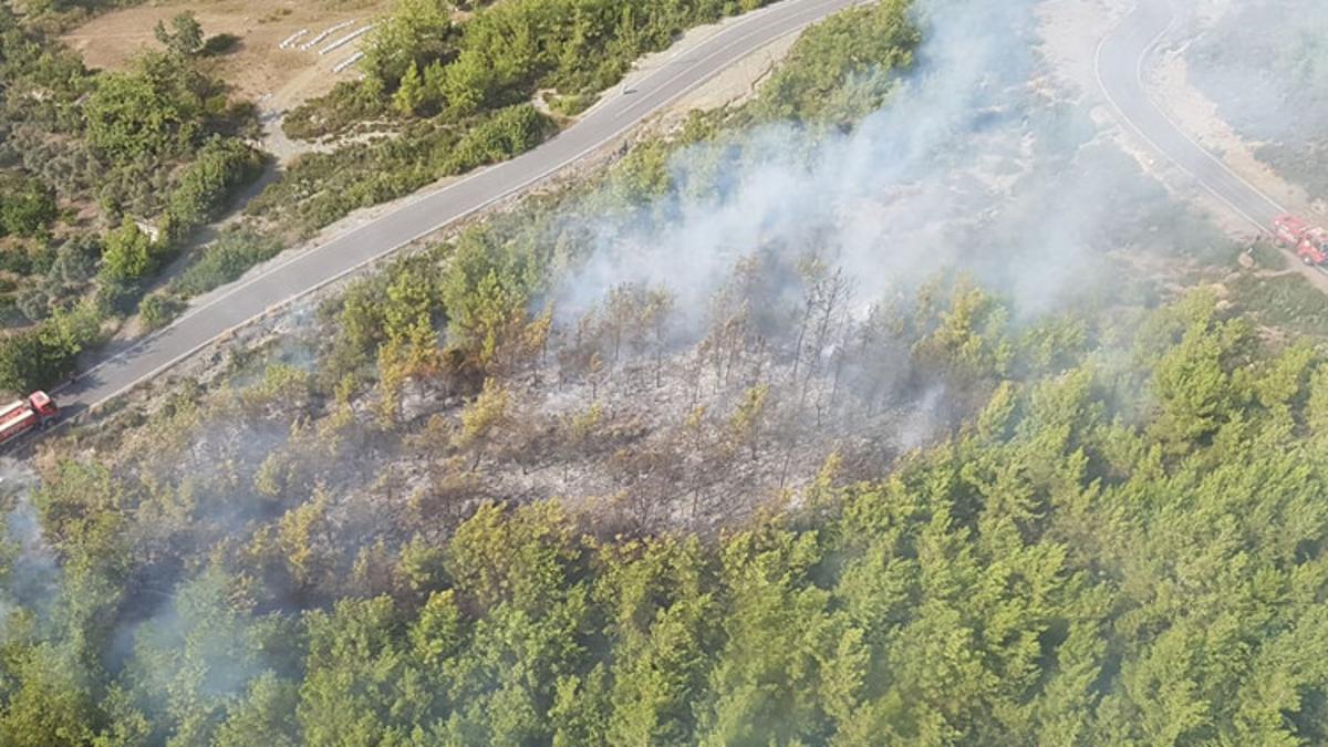 Dortyol Da Orman Yangini Son Dakika Haberleri Internet