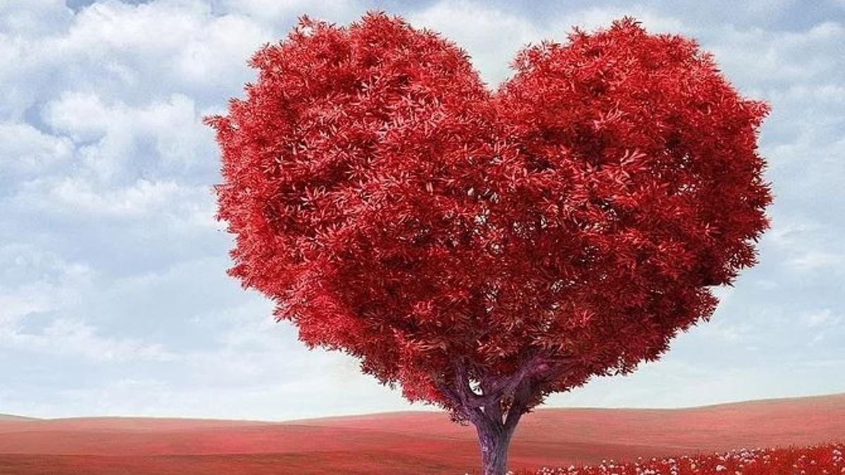 Valentine s Day Ne Demek Aziz Valentine Kimdir Son Dakika Haberler