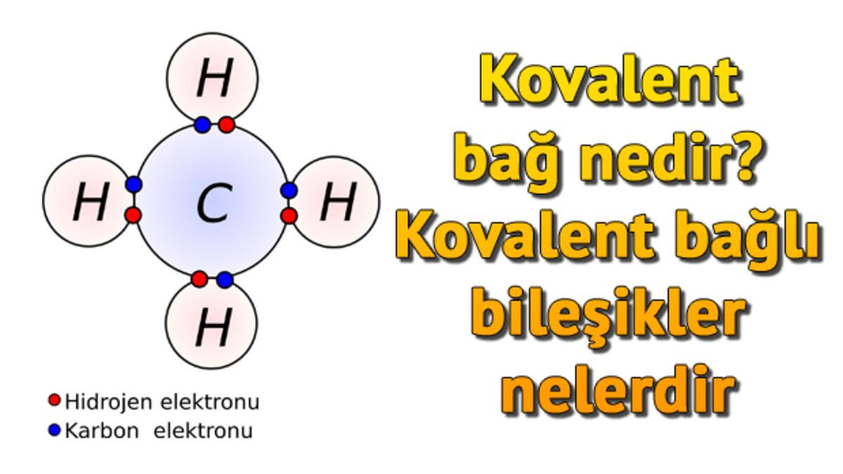 kovalent bag nedir kovalent bagli bilesikler nelerdir son dakika haberleri internet