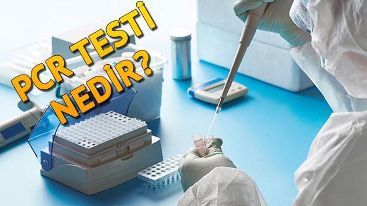 Pcr Testi Ne Demek Corona Virus Pcr Testi Nedir Ve Nasil Yapilir [ 675 x 1200 Pixel ]