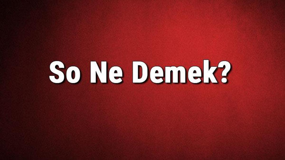 so-ne-demek-so-kelimesinin-t-rk-e-anlam-nedir-son-dakika-haber