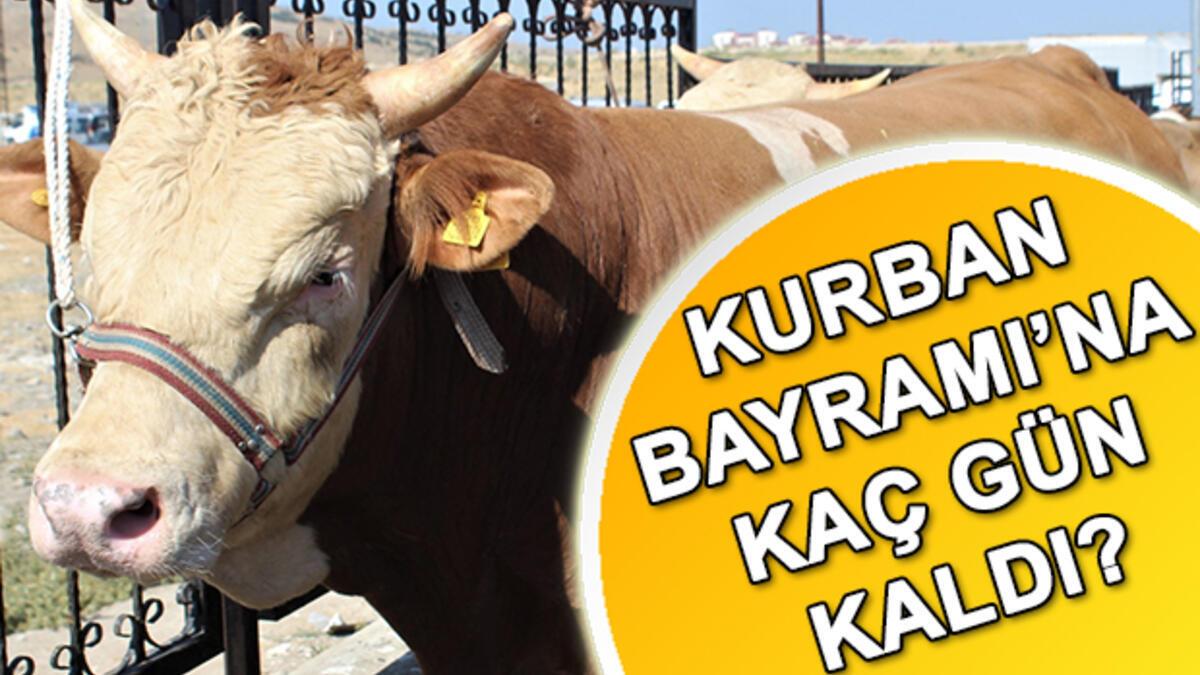 Kurban bayramı ne zaman