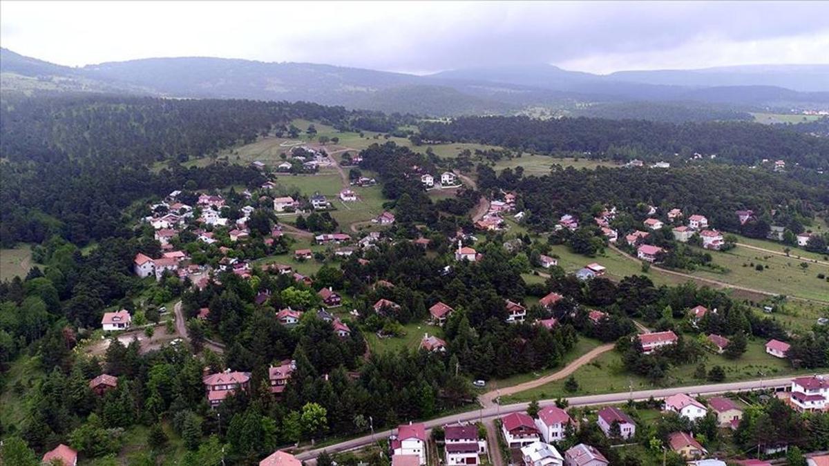 camici yaylasi nda cam ormaninin icinde dogayla bas basa tatil imkani seyahat haberleri