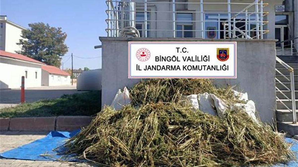 bingol de 40 kilo esrar ele gecirildi son dakika haberleri internet