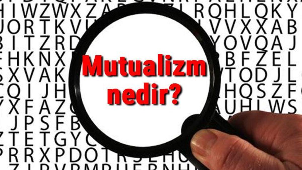 Mutualizm nedir? Mutualizm (Karşılıklı fayda birlikteliği) hakkında bilgi