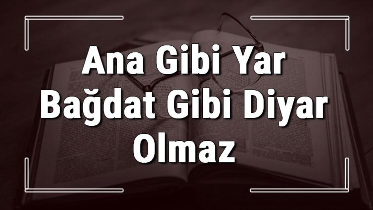 yalnız taştan duvar olmaz atasözünün anlamı kısaca