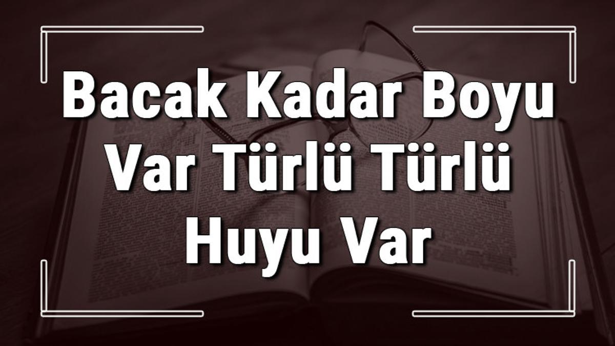 bacak kadar boyu var turlu turlu huyu var atasozunun anlami ve ornek cumle icinde kullanimi tdk