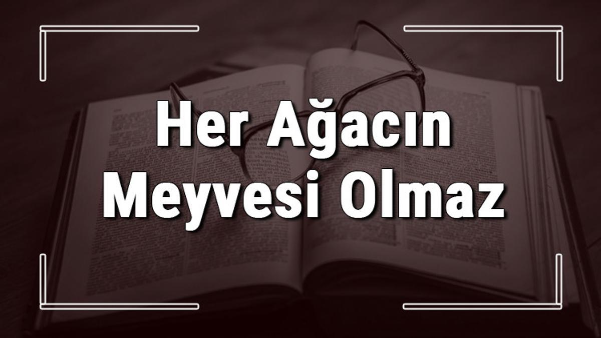 her ağacın meyvesi olmaz atasözünün anlamı ️ bilgi90 her ağacın meyvesi olmaz atasözünün anlamı ️ bilgi90