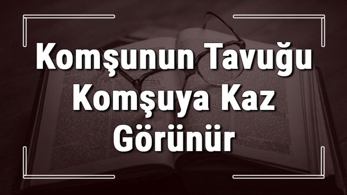 komşunun tavuğu komşuya kaz görünür atasözünün anlamı nedir ️ Ne90 komşunun tavuğu komşuya kaz görünür atasözünün anlamı nedir ️ Ne90