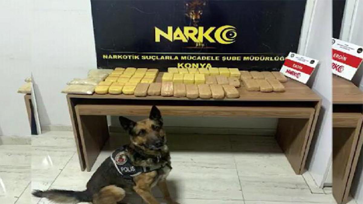 Narkotik Kopegi Alex 23 Kilo 432 Gram Eroin Buldu 3 Gozalti Son Dakika Haberler