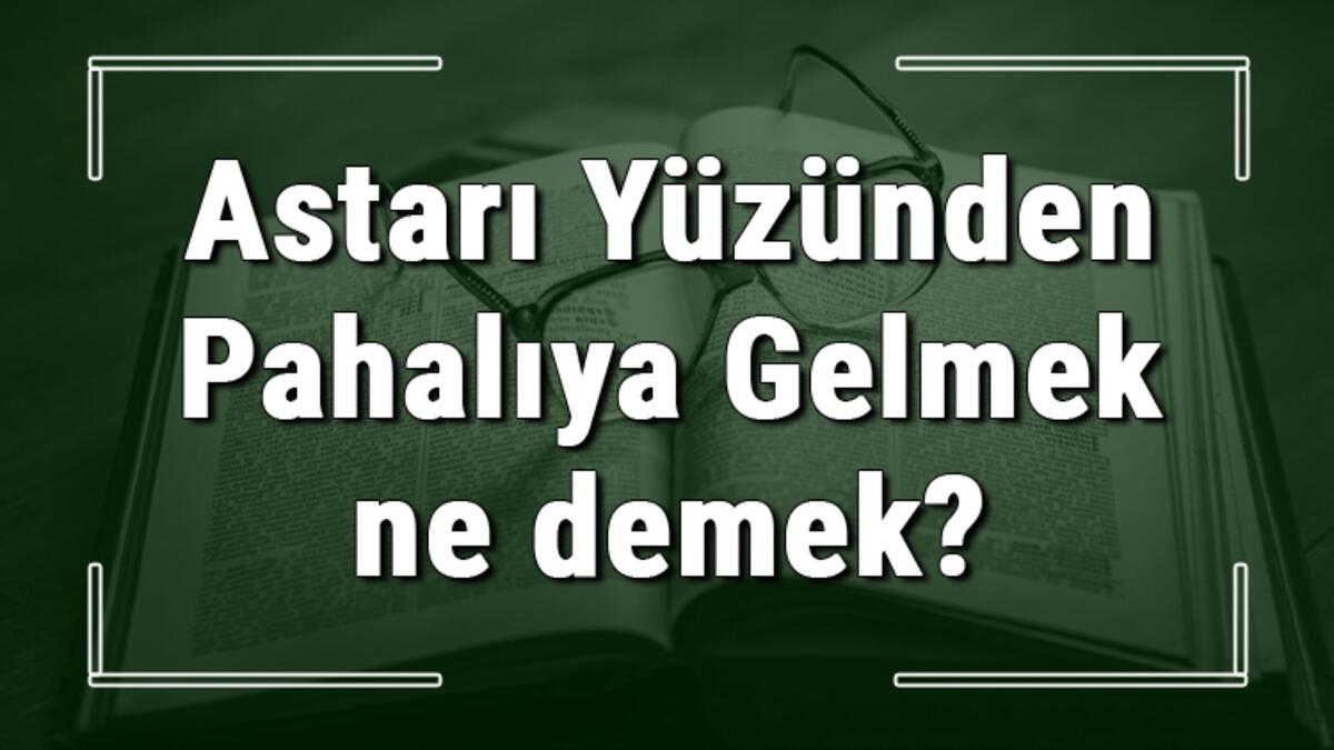 Astari Yuzunden Pahaliya Gelmek Ne Demek Astari Yuzunden Pahaliya Gelmek Deyiminin Anlami Ve Cumle Icinde Ornek Kullanimi Tdk