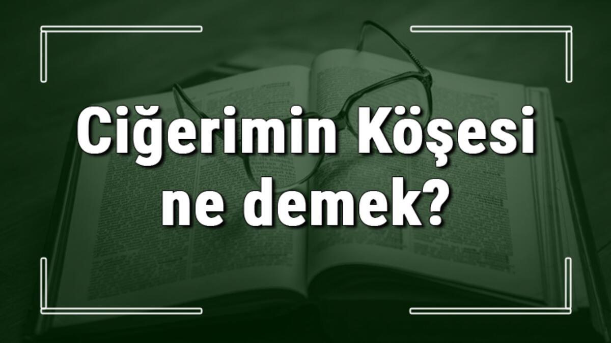 cigerimin kosesi ne demek cigerimin kosesi deyiminin anlami ve ornek cumle icinde kullanimi tdk