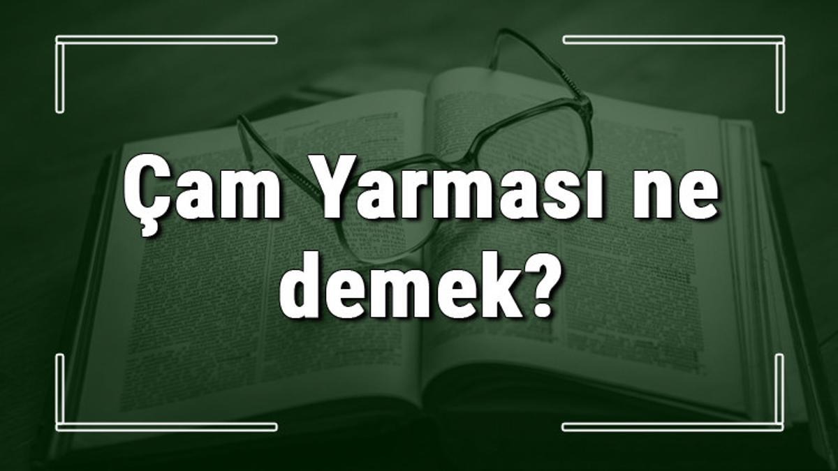 Çam Yarması ne demek? Çam Yarması deyiminin anlamı ve örnek cümle
