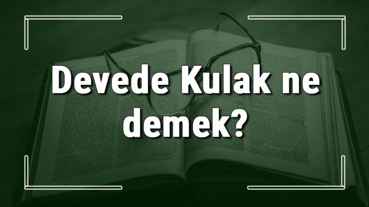 Devede Kulak Ne Demek Devede Kulak Deyiminin Anlami Ve Ornek Cumle Icinde Kullanimi Tdk