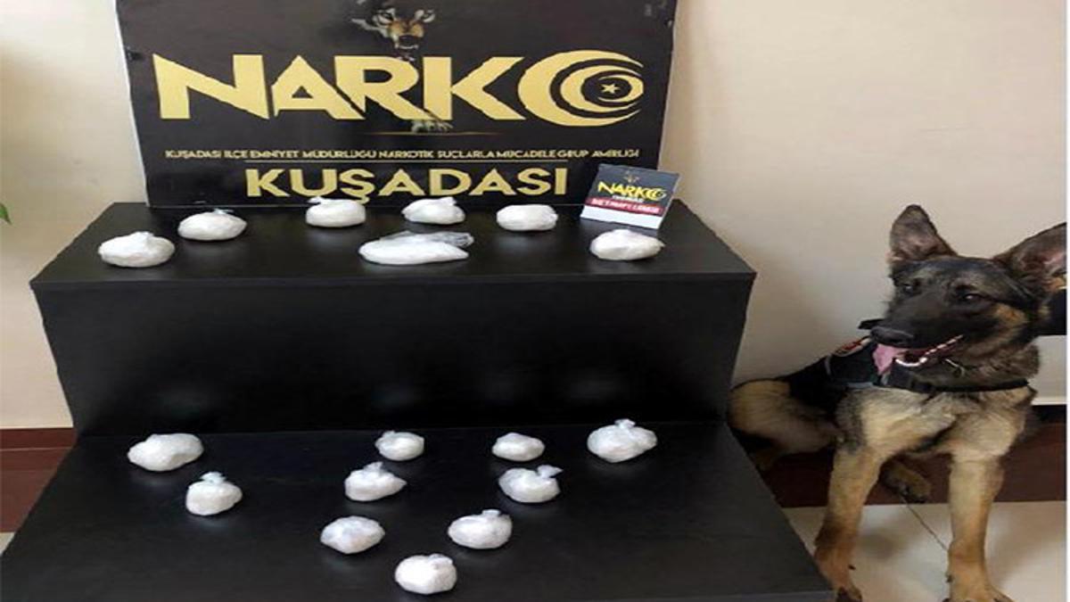 Narkotik Kopegi Honaz Uyusturucuya Gecit Vermedi Son Dakika Haberleri Internet