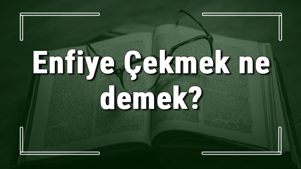 enfiye cekmek ne demek enfiye cekmek deyiminin anlami ve ornek cumle icinde kullanimi tdk