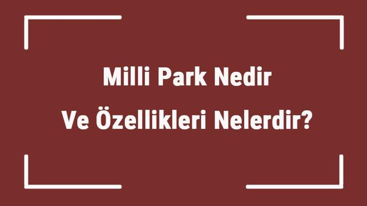 milli park nedir ve ozellikleri nelerdir ulkemizde kac tane milli park vardir ve ornekleri