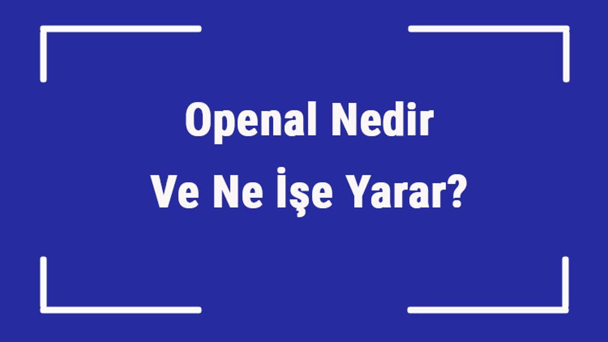 Openal Nedir Ve Ne e Yarar openal-nedir-ve-ne-e-yarar