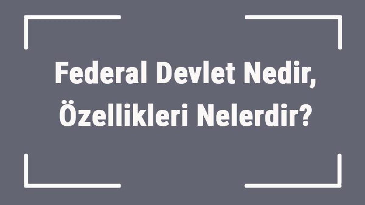 federal devlet nedir ozellikleri nelerdir federal devlet anlayisi ve sistemi nedir