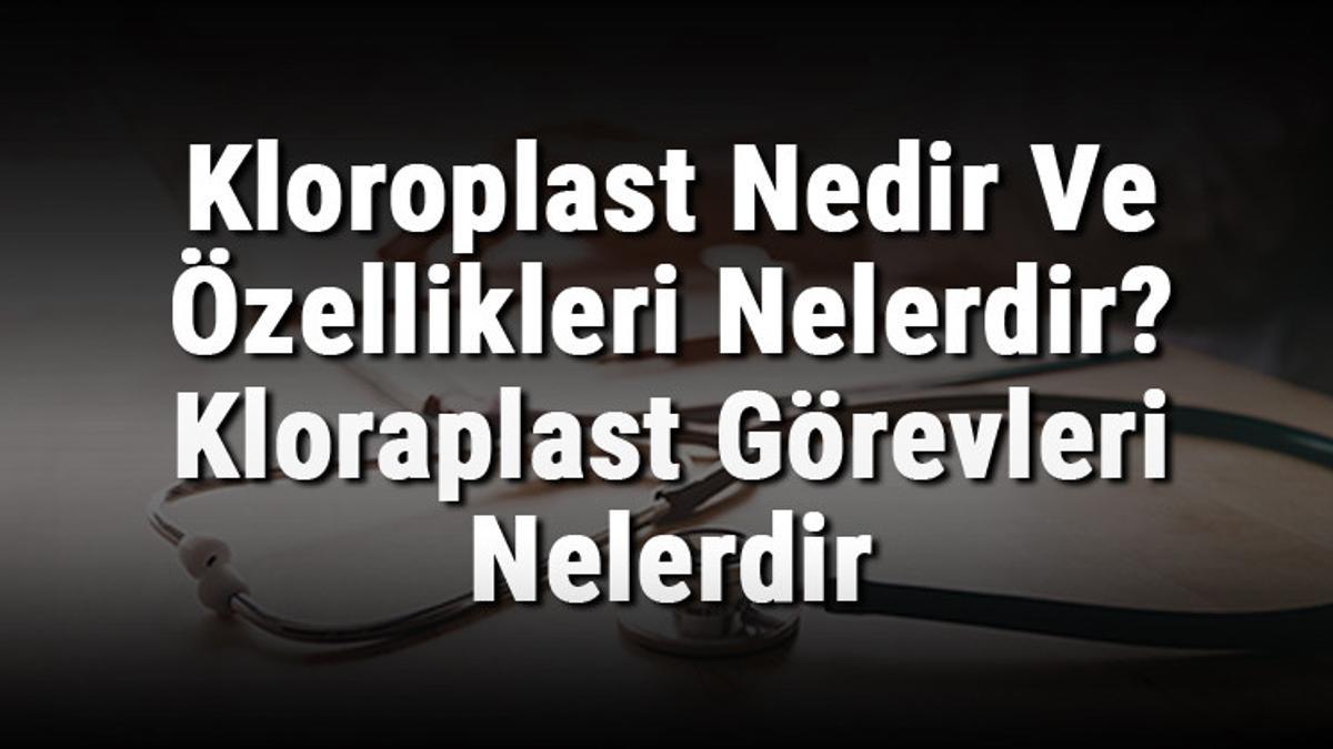 kloroplast nedir ve ozellikleri nelerdir kloraplast gorevleri nelerdir ve hayvan hucresinde bulunur mu saglik haberleri kloroplast nedir ve ozellikleri nelerdir kloraplast gorevleri nelerdir ve hayvan hucresinde bulunur mu saglik haberleri