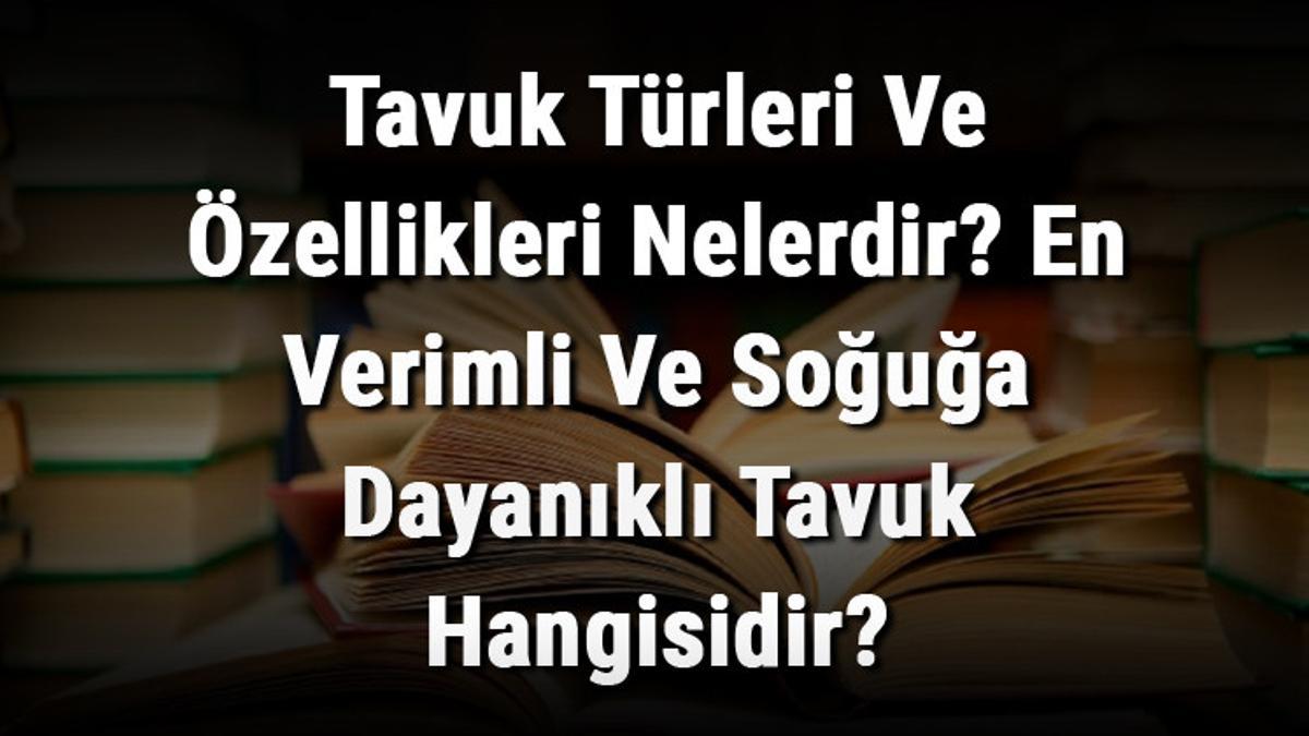 Tavuk Turleri Ve Ozellikleri Nelerdir En Verimli Ve Soguga Dayanikli Tavuk Hangisidir