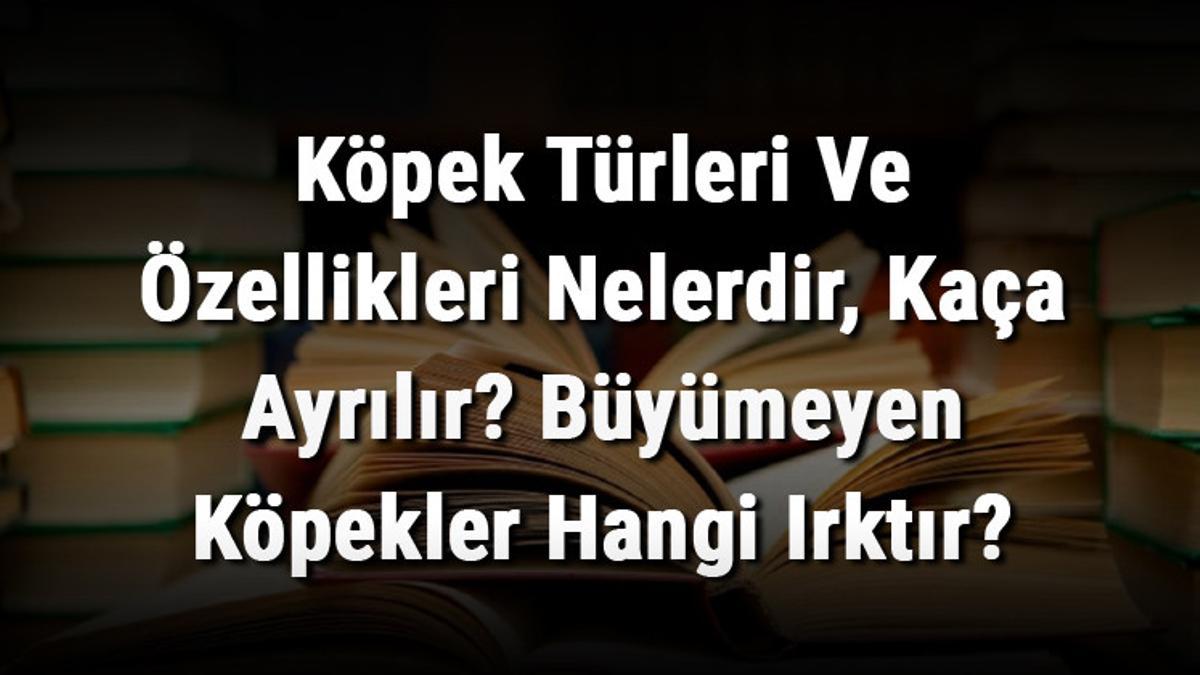 Kopek Turleri Ve Ozellikleri Nelerdir Kaca Ayrilir Buyumeyen Kopekler Hangi Irktir
