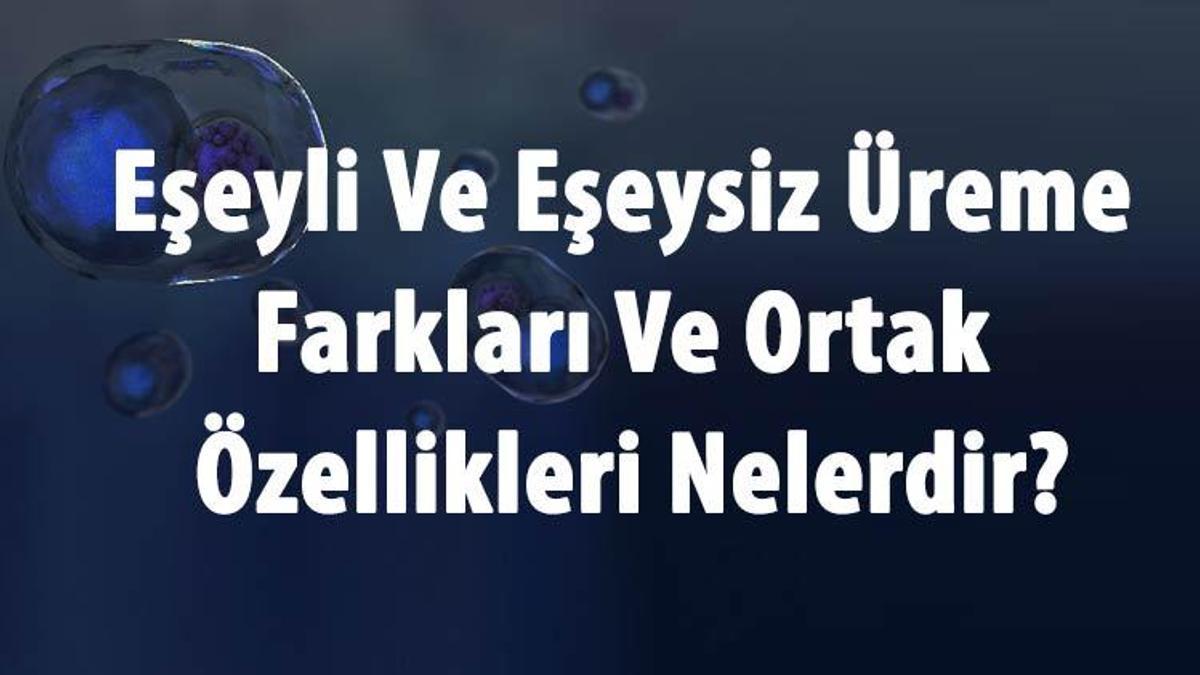 eseyli ve eseysiz ureme farklari ve ortak ozellikleri nelerdir