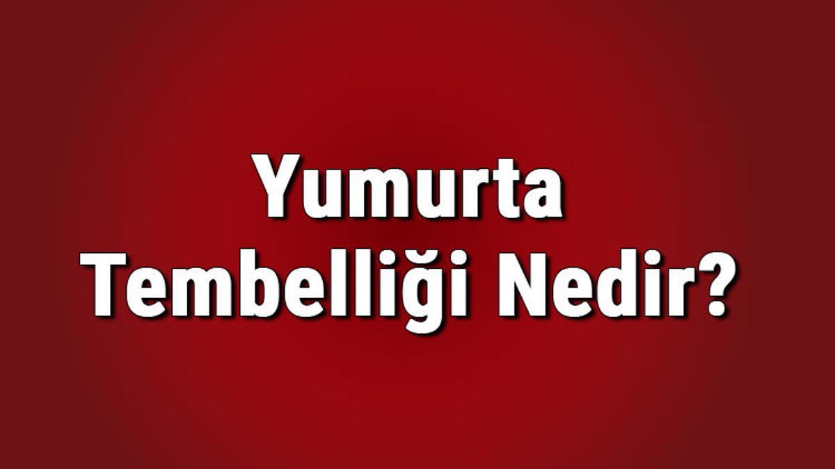 Yumurta tembelliği nedir, nelere sebep olur? Yumurtalıklar neden Yumurta tembelliği nedir, nelere sebep olur? Yumurtalıklar neden