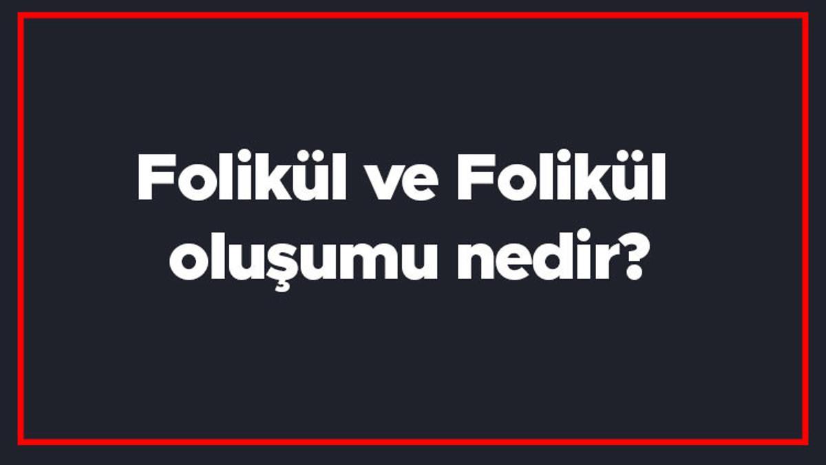 Folikül ve Folikül oluşumu nedir? Folikül kist tehlikeli midir, Folikül ...