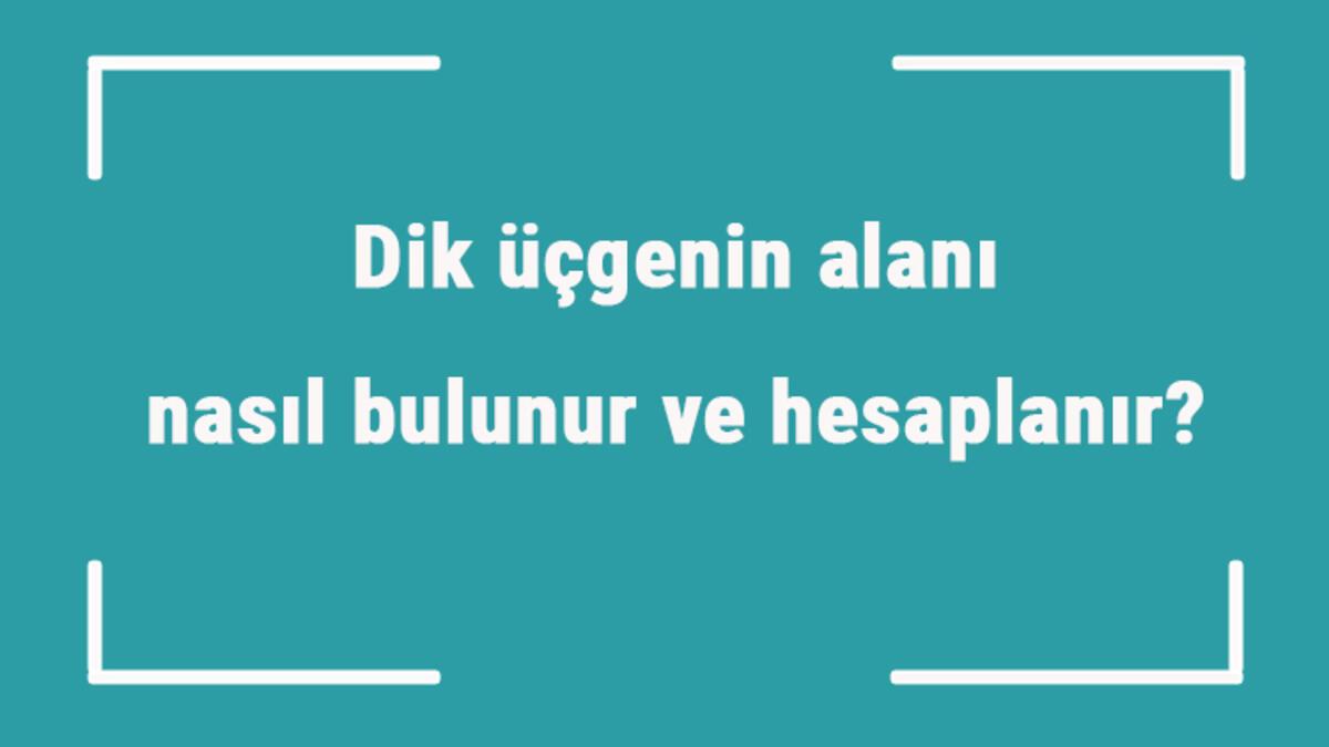 Dik Ucgenin Alani Nasil Bulunur Ve Hesaplanir Formulu Ve Ornekleri Ile Dik Ucgen Alani Hesaplama