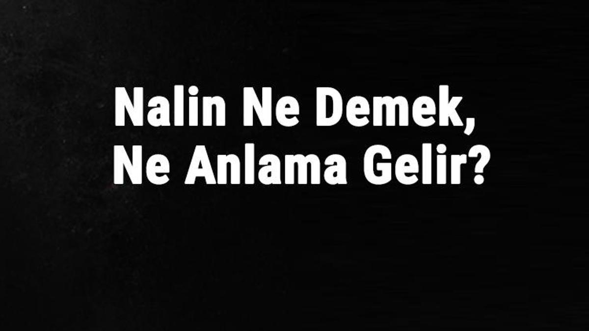 Nalın Ne Demek Ne Anlama Gelir Nalın Kelimesinin Tdk Sözlük Anlamı