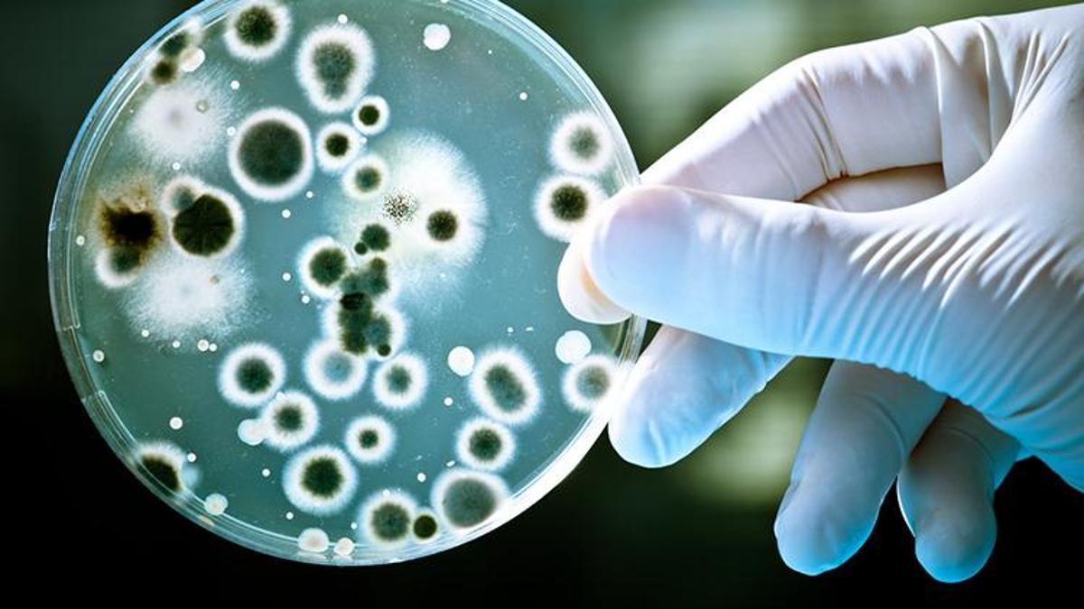 Major breakthrough against antibiotic resistance